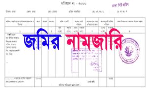 নামজারি